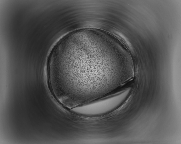 X0000093260796200710101458