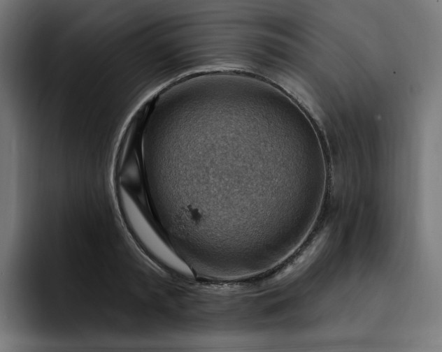 X0000093260797200710101458