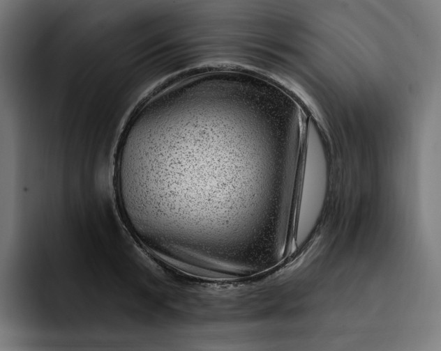 X0000093260799200710101458