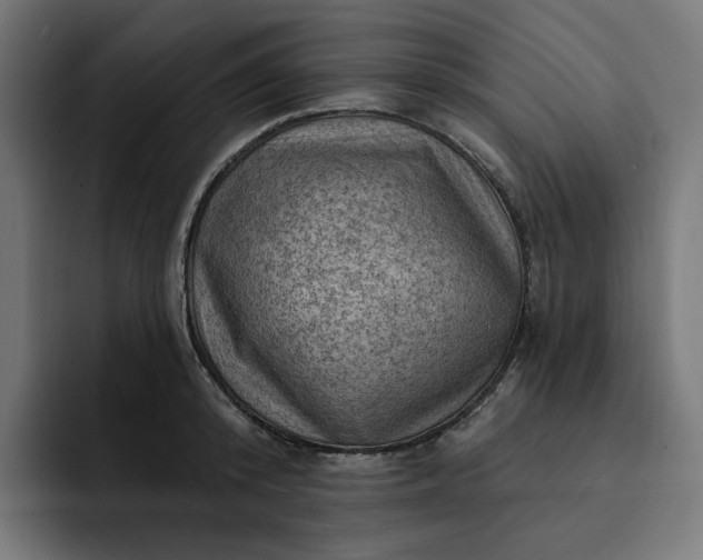 X0000093260800200710101458