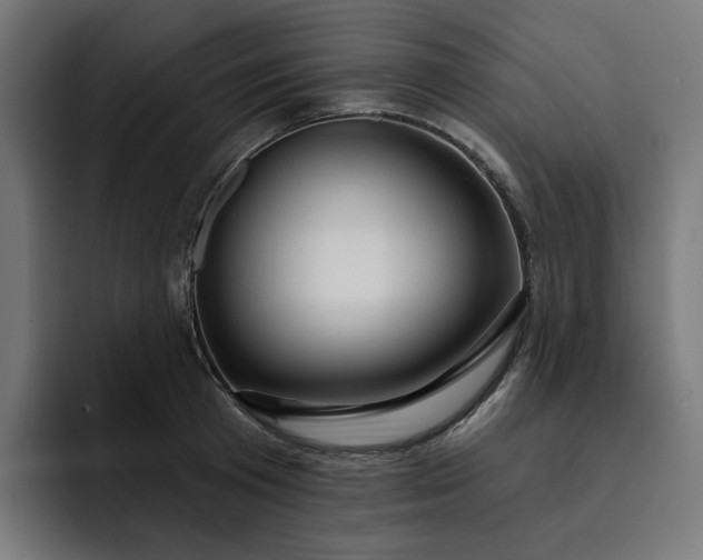 X0000093260801200710101458