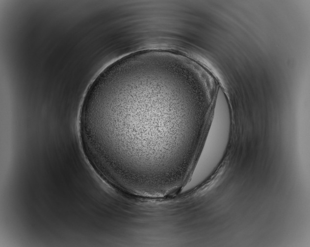 X0000093260803200710101458