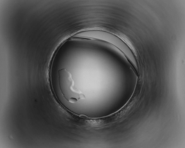 X0000093260805200710101458