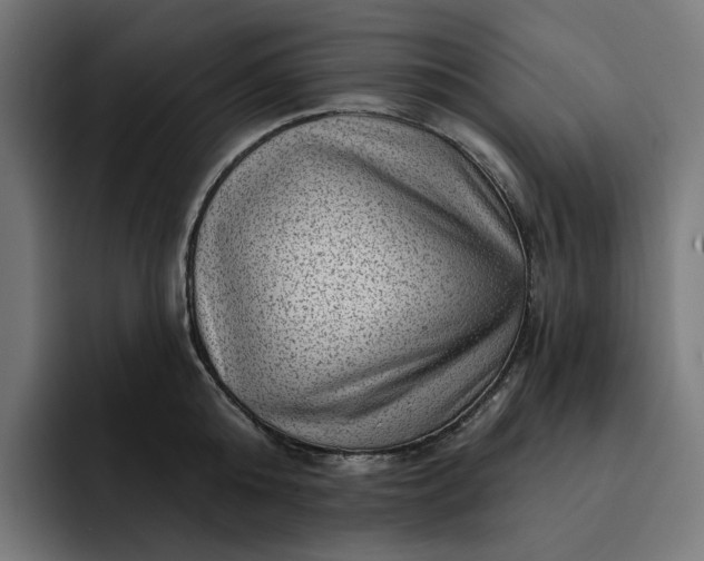 X0000093260808200710101458