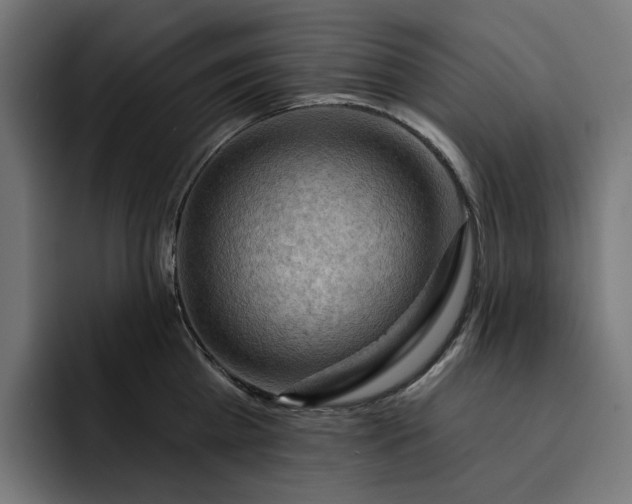 X0000093260809200710101458