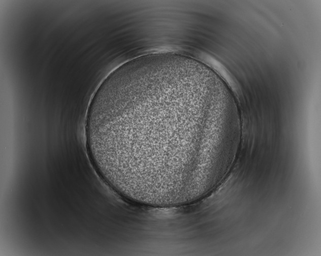 X0000093260810200710101458