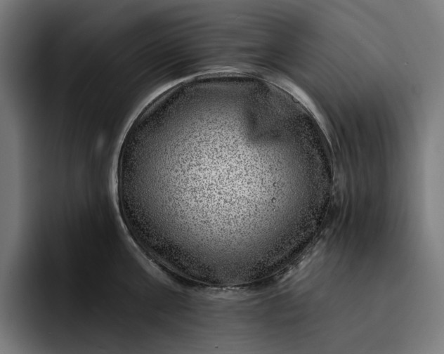 X0000093260811200710101458