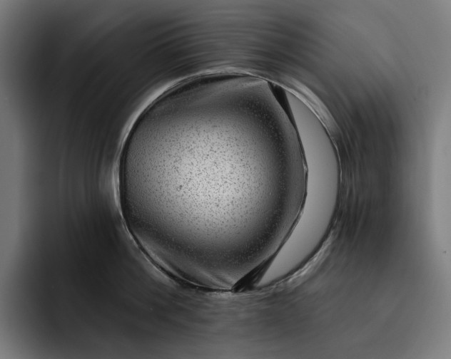 X0000093260812200710101458