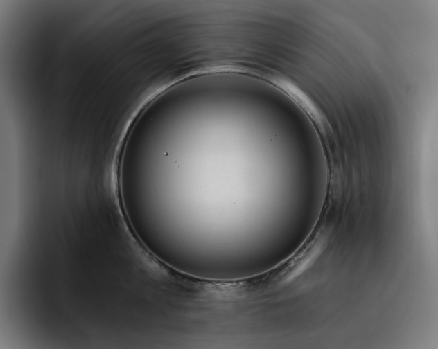 X0000093260813200710101458