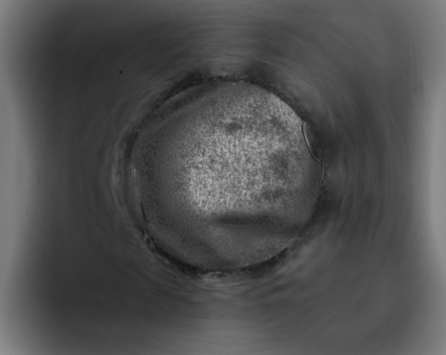 X0000093260817200710101457