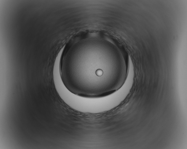 X0000093260818200710101457