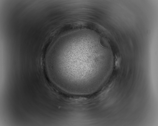 X0000093260819200710101457