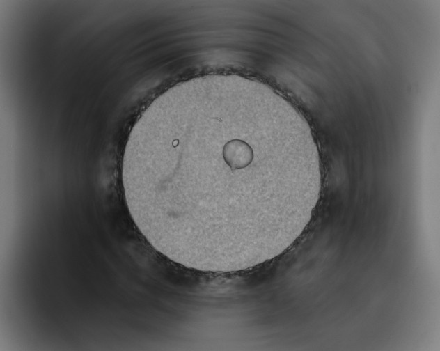 X0000093260824200710101457