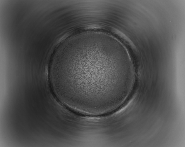 X0000093260825200710101457