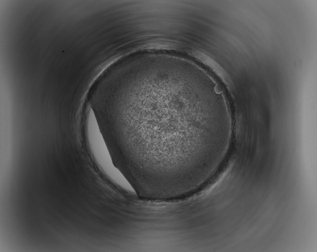 X0000093260829200710101457