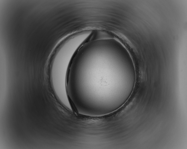 X0000093260830200710101457