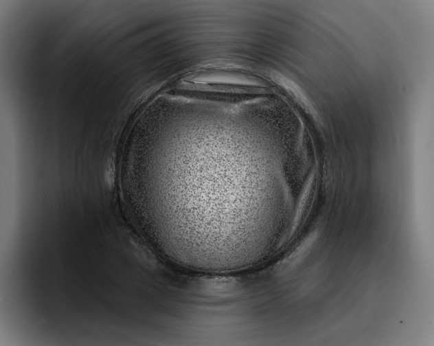 X0000093260833200710101457