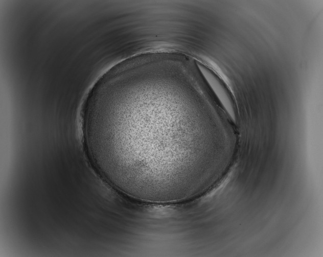 X0000093260835200710101457