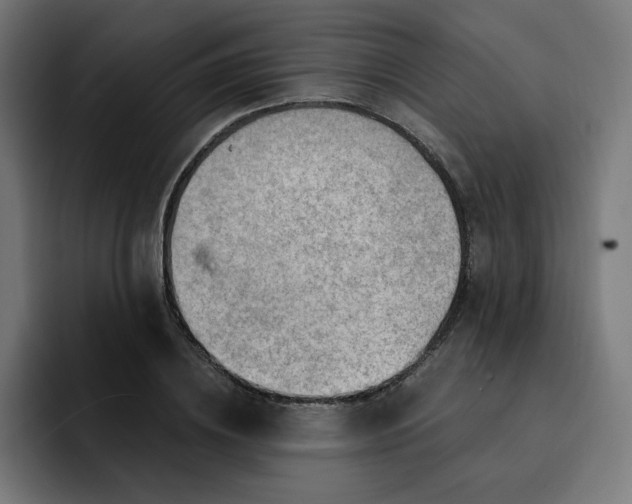 X0000093260836200710101457