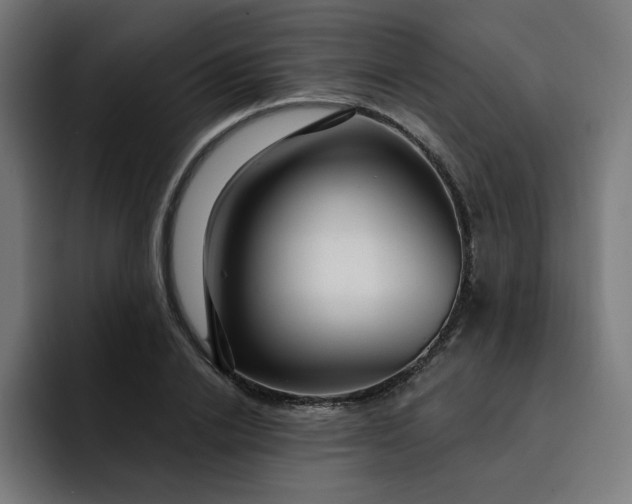 X0000093260838200710101457