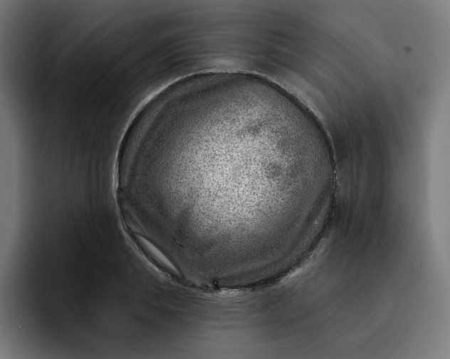 X0000093260839200710101457