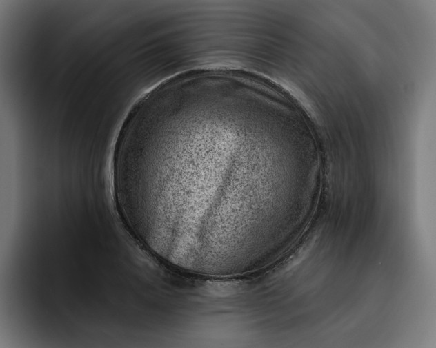 X0000093260840200710101457