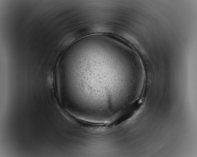 X0000093260841200710101457