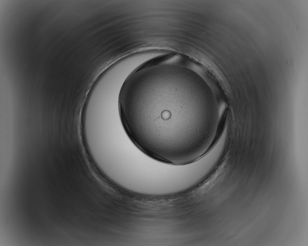 X0000093260842200710101457