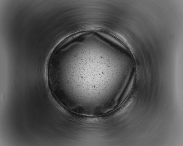 X0000093260843200710101457