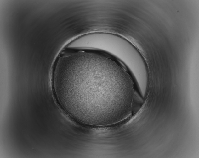 X0000093260846200710101457