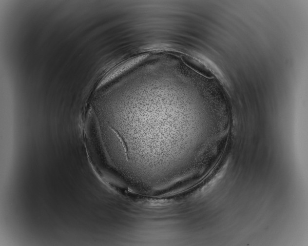 X0000093260849200710101457