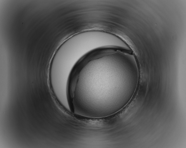 X0000093260850200710101457