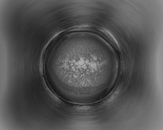 X0000093260851200710101457