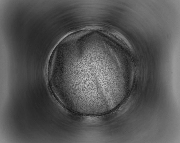 X0000093260852200710101457