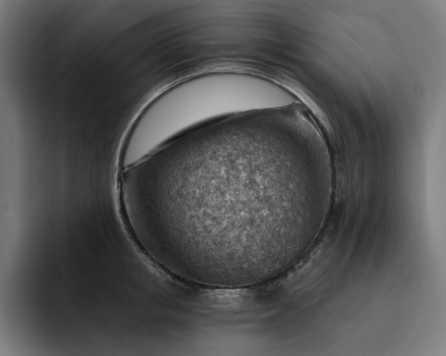 X0000093260853200710101457