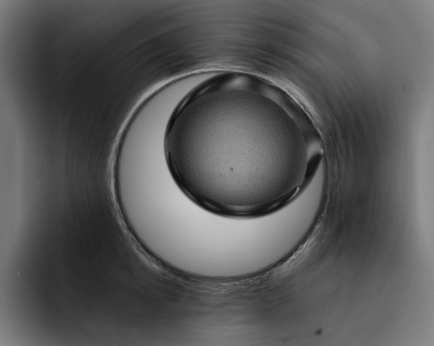 X0000093260854200710101457