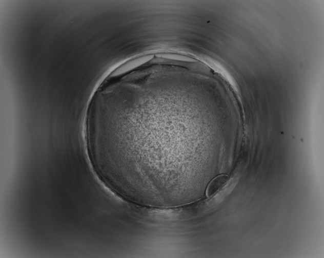 X0000093260855200710101457