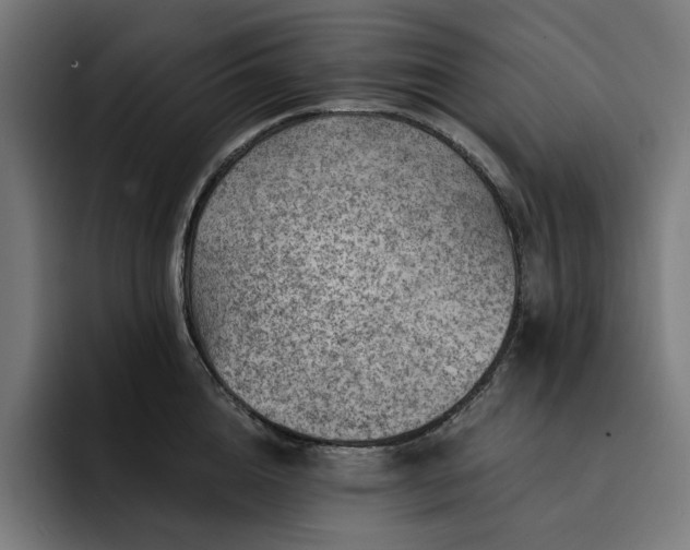 X0000093260856200710101457