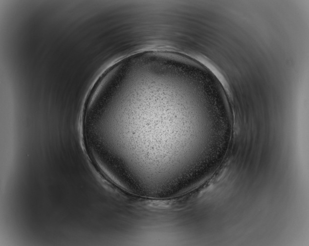 X0000093260861200710101458