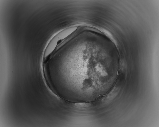 X0000093260863200710101458