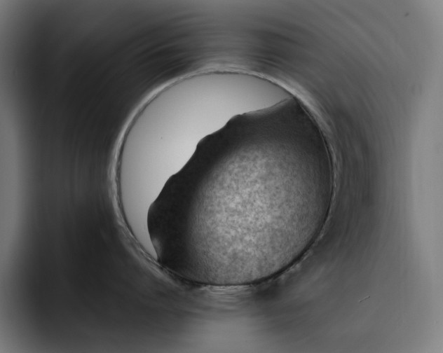 X0000093260864200710101458