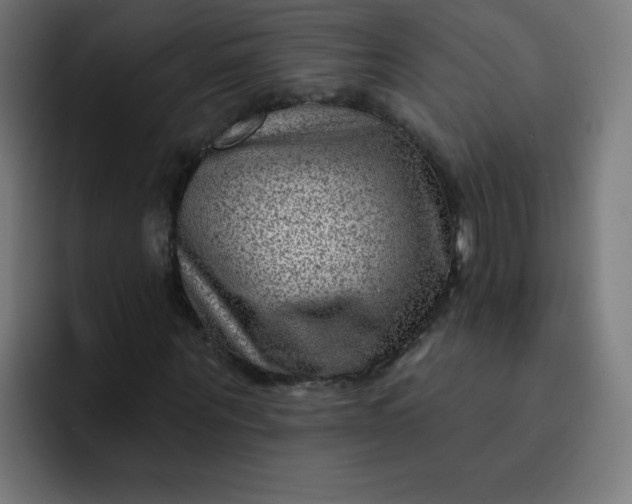 X0000093260867200710101457