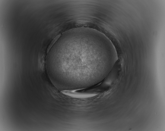 X0000093260868200710101457