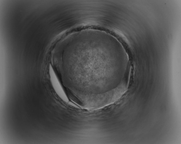 X0000093260872200710101457