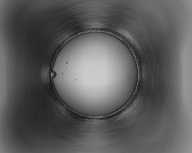 X0000093260873200710101457