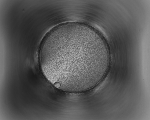 X0000093260875200710101457