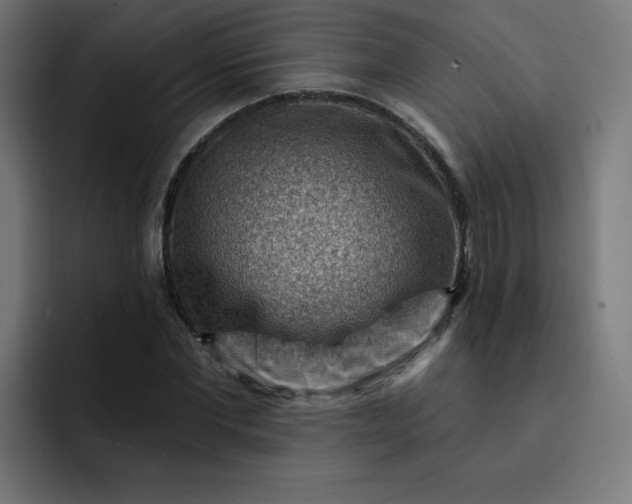 X0000093260877200710101457