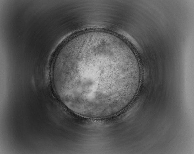 X0000093260878200710101457