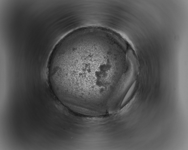 X0000093260879200710101457