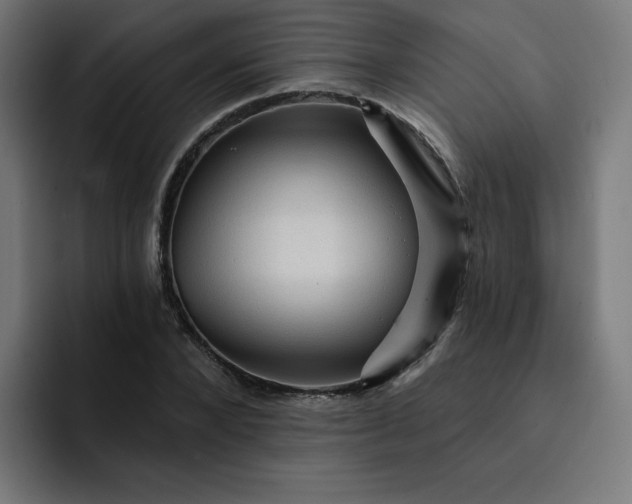 X0000093260880200710101457